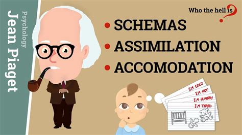 Schemas Assimilation And Accomodation Jean Piagets Epistemological Concepts Youtube