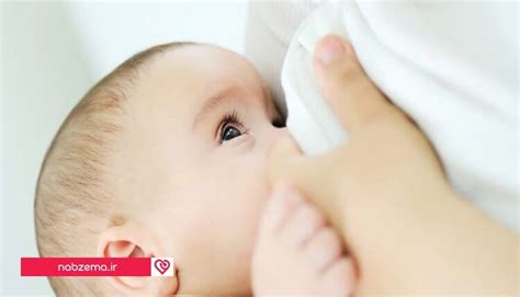 آنچه باید از خواص شیر مادر بدانید؟ نبض ما
