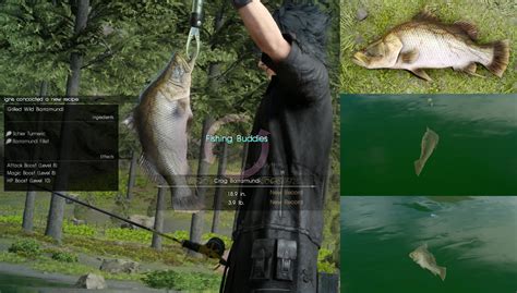 I'm a new player and i was interested in looking at meep's fishing guide. FFXV Fishing Quest - How to catch Devil of the Cygillan