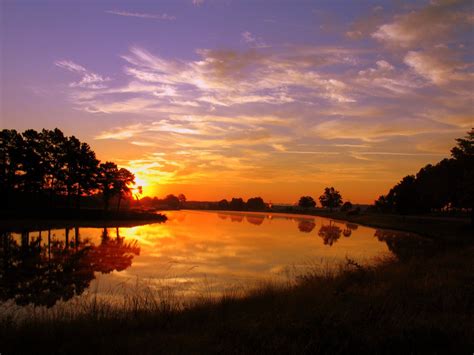 Sunrise At Pond Beautiful Sunrise By Hunter Coleman
