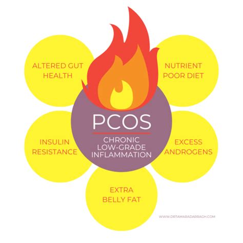 Inflammation Root Causes Of Pcos Part 3 Dr Tamara Darragh Nd
