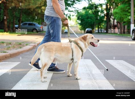 Blind Man Crossing Street High Resolution Stock Photography And Images