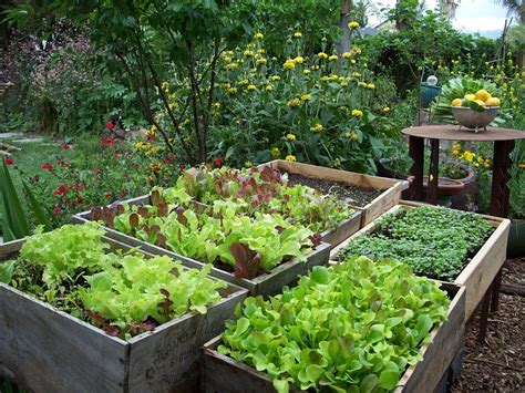 Edible Garden Nutrition Made Simple