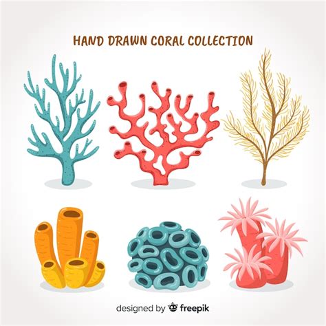 Hand Drawn Coral Collection Free Vector