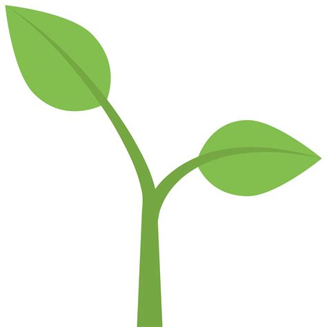 Seedling Clipart Plant Stage Seedling Plant Stage Plant Growing