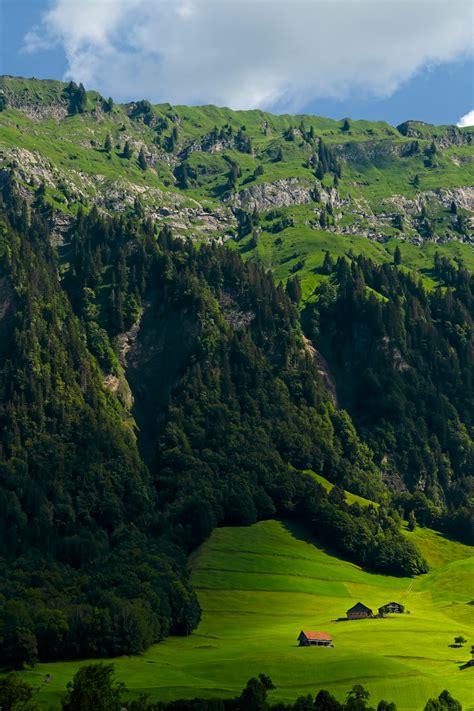 750 Vertical Landscape Pictures Stunning Download Free Images On