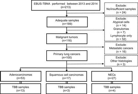 Ebus Tbna As A Promising Method For The Evaluation Of Tumor Pd L1