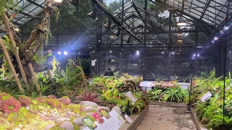Pembukaan Taman Nepenthes Di Kebun Raya Bogor Youtube