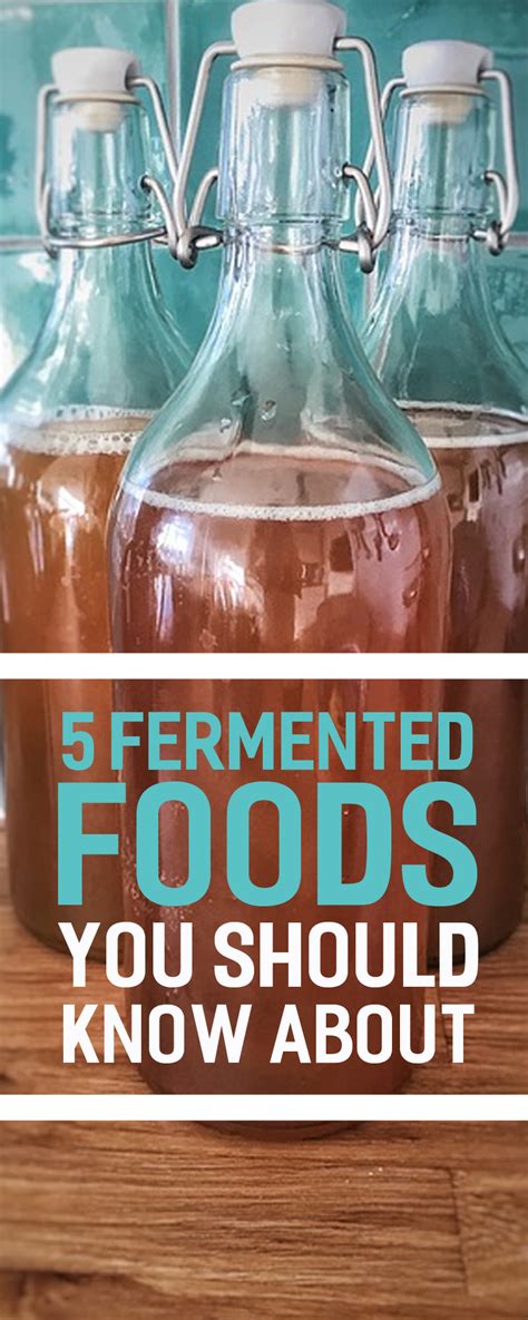 5 fermented foods you should know about biodegradable products fermented foods fermentation