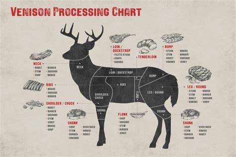 Venison Deer Butcher Processing Chart Laminated Poster Etsy