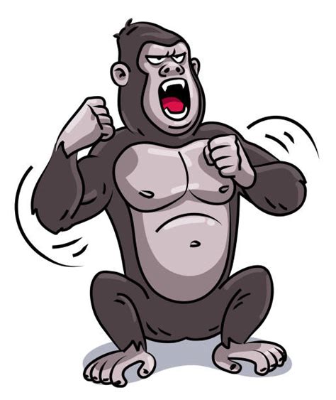 Gorilla Beating Chest Illustrations Royalty Free Vector Graphics