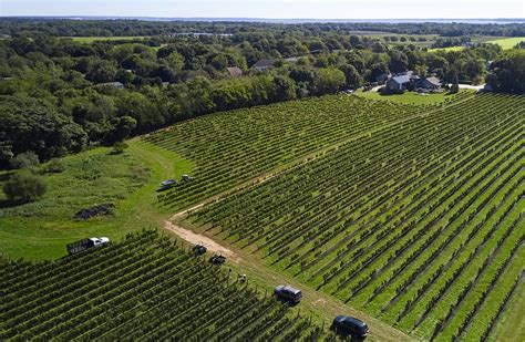 Why Arent There More Wineries On Long Islands North Fork Wsj