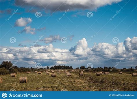 Landscape Of The Countryside With Field With Haystacks And Blue Sky