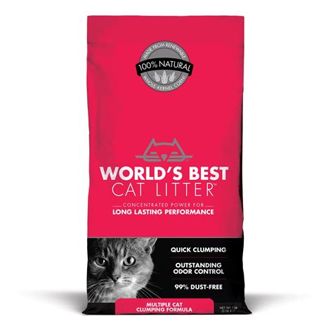 6 Best Flushable Cat Litter Brands My Cat Need This
