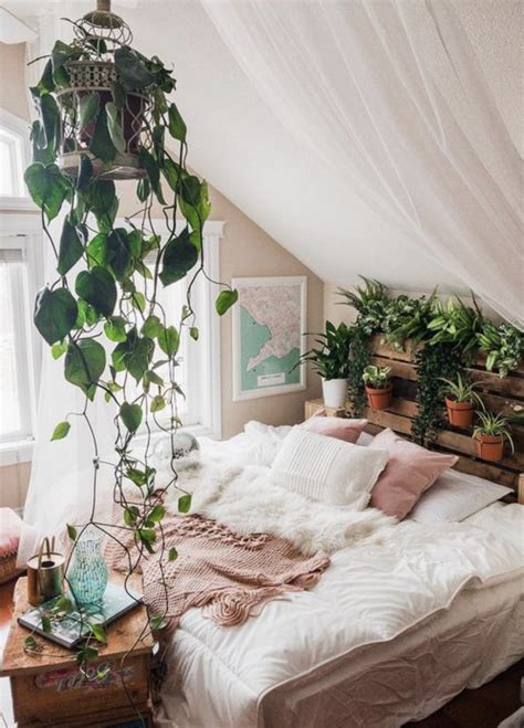 Hanging Plants Succulents Urban Outfitters Bedroom Decor