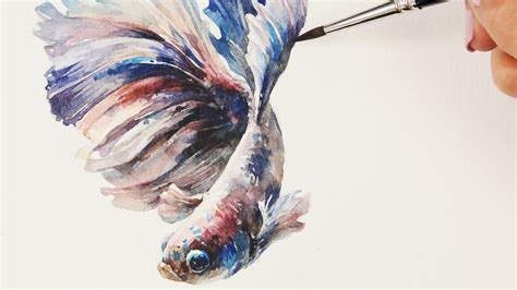 Watercolor Painting A Colorful Betta Fish Youtube