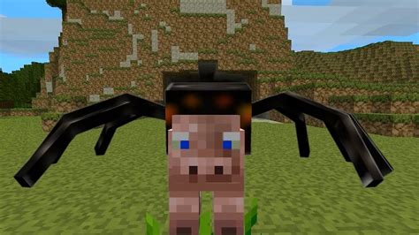 The Spider Minecraft Animation YouTube