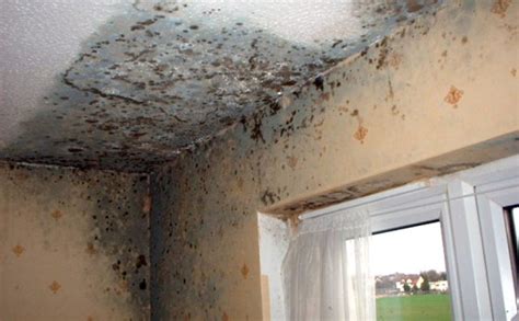 Causes Of Dampness And Preventions Kpstructures
