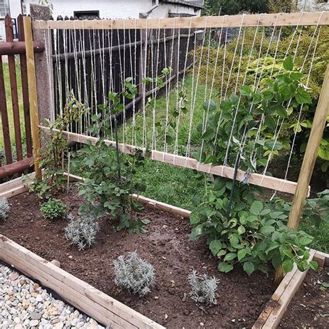 Dieser pinnwand folgen 164 nutzer auf pinterest. Pin von KerstinB. auf Garten in 2021 | Garten ...