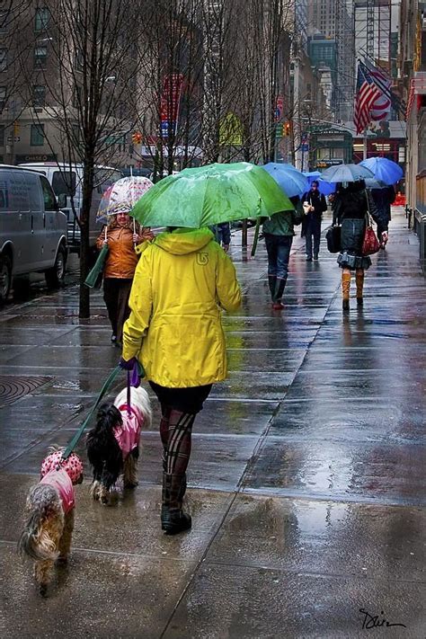 Pin Von Ulla T Auf R A I N D R O P S — Regen Regentage Regenschirme