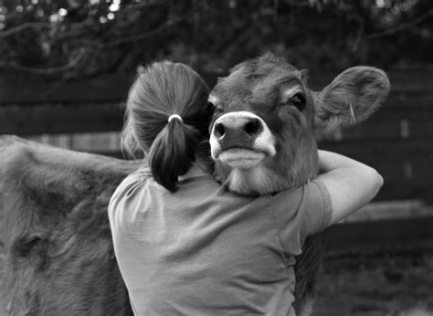 31 Unusual And Heartwarming Friendships Between Human And Animals