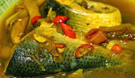Masakan garang asem ayam kuah kuning. Aneka Resep Masakan Ikan Patin, Tuna, Bandeng, Gurame Dan ...