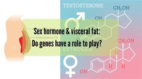 sex hormone and visceral fat do genes have a role to play