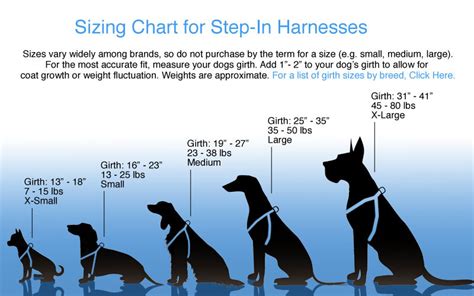 Dog Sizing Charts For All Artful Canine Products