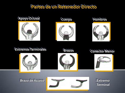 Retentor Direto E Indireto Ppr