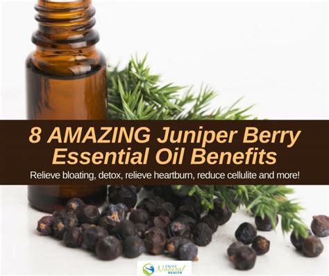 8 Amazing Benefits Of Juniper Berry Essential Oil