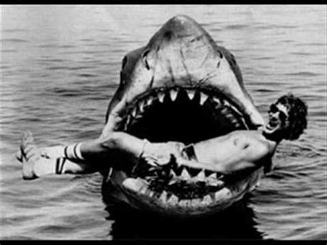 From desktop or your mobile device. Megalodon Still Alive? - YouTube