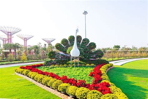 Top 7 Hội Hoa Xuân đẹp Tuyệt Vời Nhất ở Sài Gòn Topsuckhoe