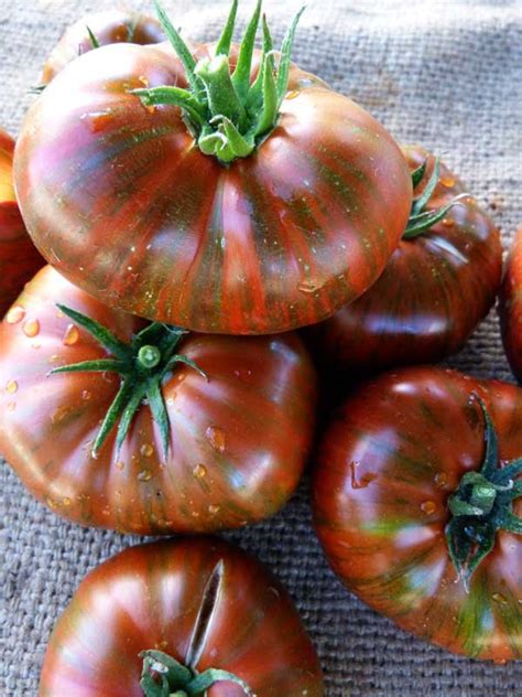 15 Of The Absolute Best Tomato Varieties You Should Plant This Summer