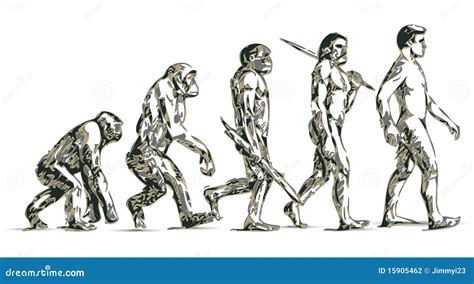 Human Evolution Stock Vector Illustration Of Isolated 15905462