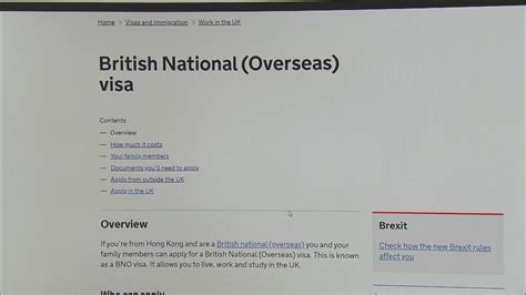 英國政府開始接受bno身份港人申請新簽證 Now 新聞