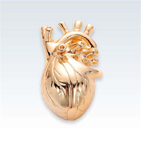 Cardiologist Gold Tone Heart Anatomy Lapel Pin Clinicalposters