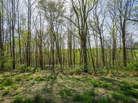 Ohio Land For Sale Landflip