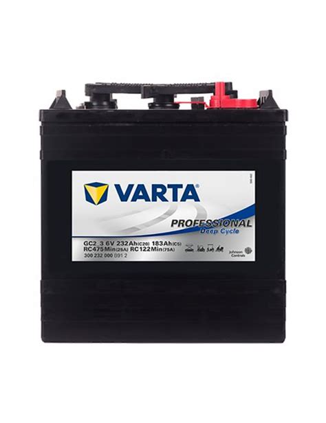 Batería Gc23 6v 232ah Varta Professional Deep Cycle