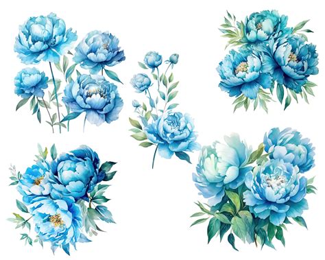 Watercolor Blue Peony And Butterfly Png Clipart By Tanya Kart