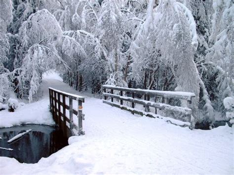 23 Best Snowsnow Images On Pinterest Snow Scenes