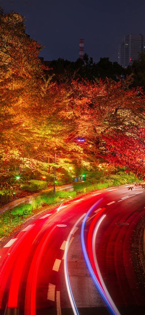 1125x2436 Japan Tokyo Roads Autumn Trees Night Iphone Xsiphone 10