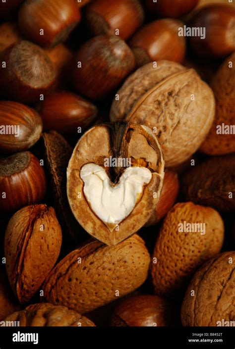 Nutty Love Heart Shaped Nut Kernel Of A Walnut Surrounded By Nuts Stock