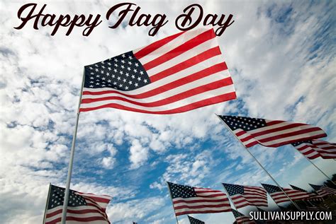 Here's what you need to know. Happy Flag Day | The Pulse