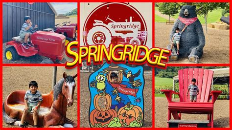 Springridge Farm - Milton, Ontario | Farm Near Toronto | Springridge ...