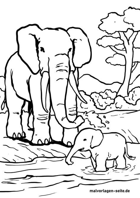 Malvorlage elefant