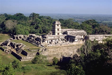 El Palacio Palenque Raingod