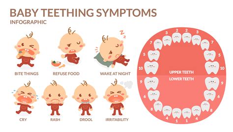Teething Baby Symptoms And Care What To Do For Natural Relief