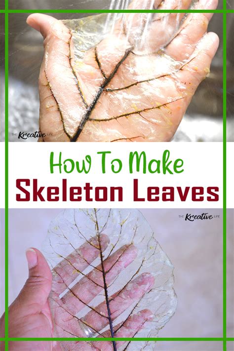 How To Make Skeleton Leaves With Printable Instructions The