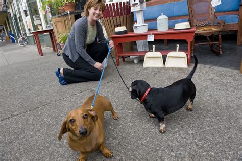 Welcome to the Most Oregon part of Oregon. | Travel Salem | Travel