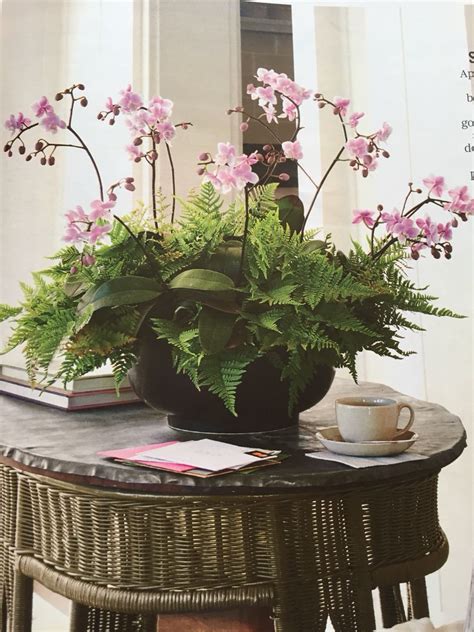 Free Indoor Plant Arrangements For Small Space Home Decorating Ideas